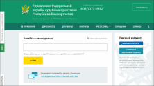 Госуслуги доступны в электронном виде Республика Башкортостан risunok1_20174231041.png