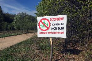 На территории Уфимского лесничества проведены лесозащитные мероприятия Республика Башкортостан 6205208da8d0ade9f5aa7e6bc03ab9f4_1000_666.jpg