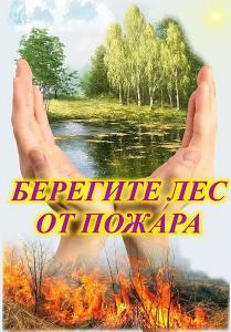 В лесах Башкортостана установилась высокая пожарная опасность Республика Башкортостан ad3d4bb350282b6b9be3ddf4e490255a_1000_1430.jpg