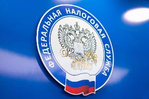 В Башкортостане стартовала рассылка  сообщений организациям об исчисленных суммах транспортного и земельного налогов  nalogovaja-1.jpeg