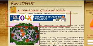 "Блог-Пирог", информационно-рекламный сайт, ИП Гильманова - Город Уфа