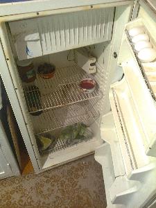 холодильник полюс -2 Фото0250.jpg