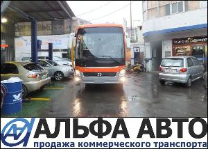 VIP автобус Hyundai Universe DSCF4450-vert.jpg