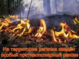 В лесах Башкортостана введен особый противопожарный режим Республика Башкортостан 6d8a97dd2933106497ba653de1e0fe4c_1000_750.jpg