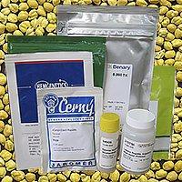 Семена fa2b3606b77a23d25a1025f8122af091.jpg