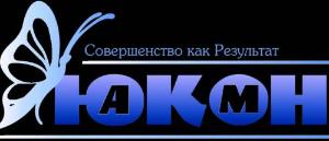 "АМ-ЮКОН", общество с ограниченной ответственностью - Город Уфа Юкон 3.png